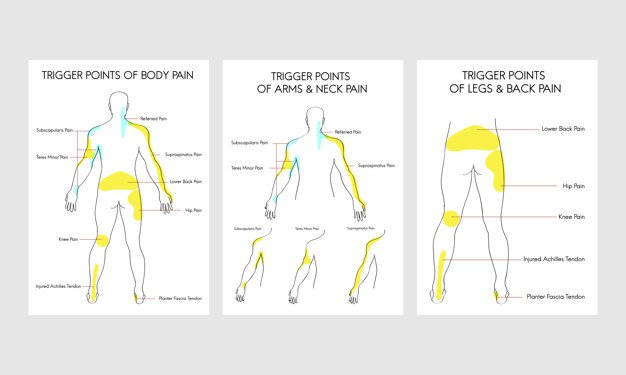Low Back Pain & Trigger Point: Understanding Factors & Overcoming Pain