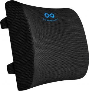 LoveHome Memory Foam Lumbar Support Back Cushion