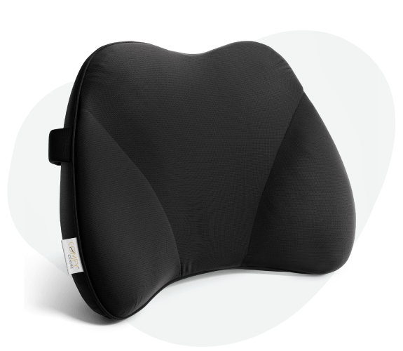 Lumbar Support XL - COMFYCENTRE®